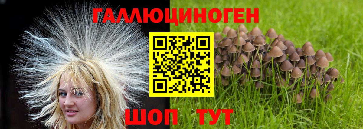 Альметьевск  Псилоцибиновые грибы Magic Shrooms  Вход с VPN 